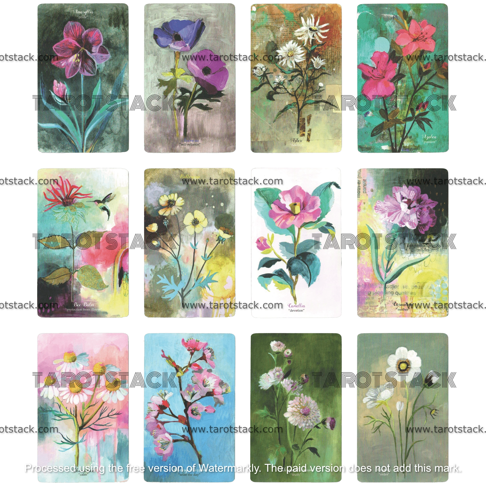 Flower Medicine Oracle Deck is back in stock!!! – Cathy Nichols