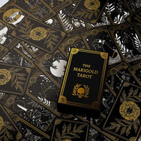 the marigold tarot deck box and cards